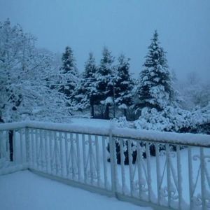 Meet your Posher, Dimitry